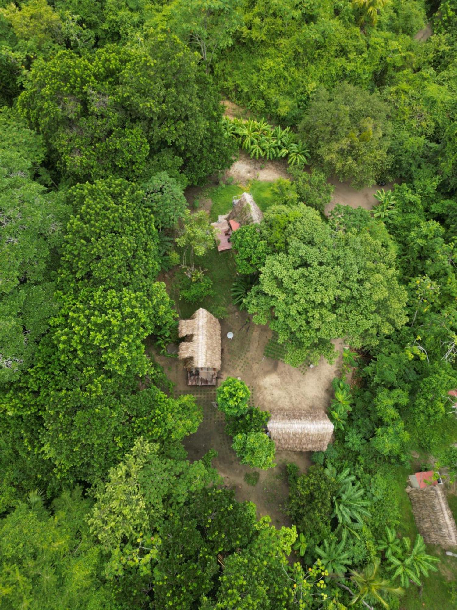 Tiny Houses Unique Tayrona - Dentro Del Parque Tayrona El Zaino Exterior foto